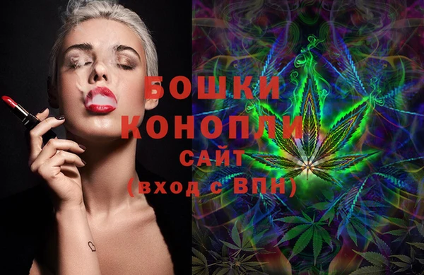 гидра Вязники