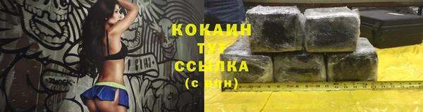 гидра Вязники