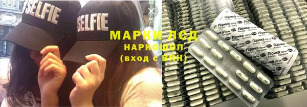 гидра Вязники