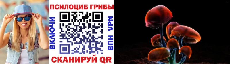 Псилоцибиновые грибы ЛСД  Купить где  Собинка 